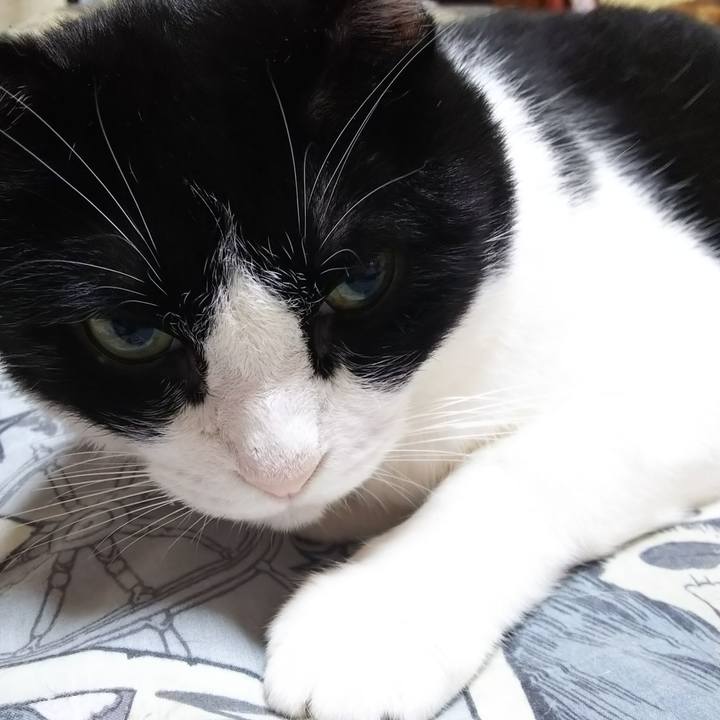 Aead24ee ce36 4219 b545 b6d2c9cfedf5 1570925118748