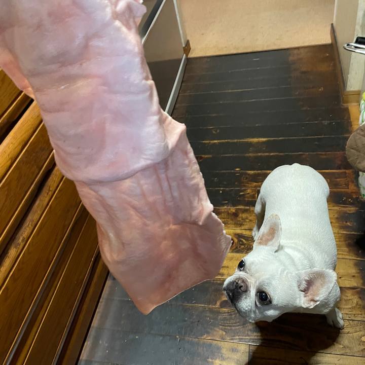 Aead3398 8d9e 45cb bfd9 8a6efc04d026 1753570809097