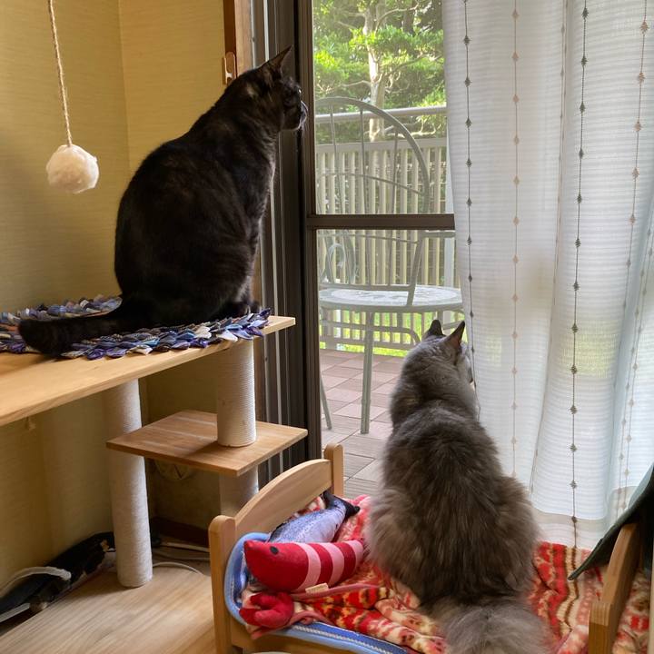 Aead57a0 302d 43bf a99d cb1793b1b067 1718835718528