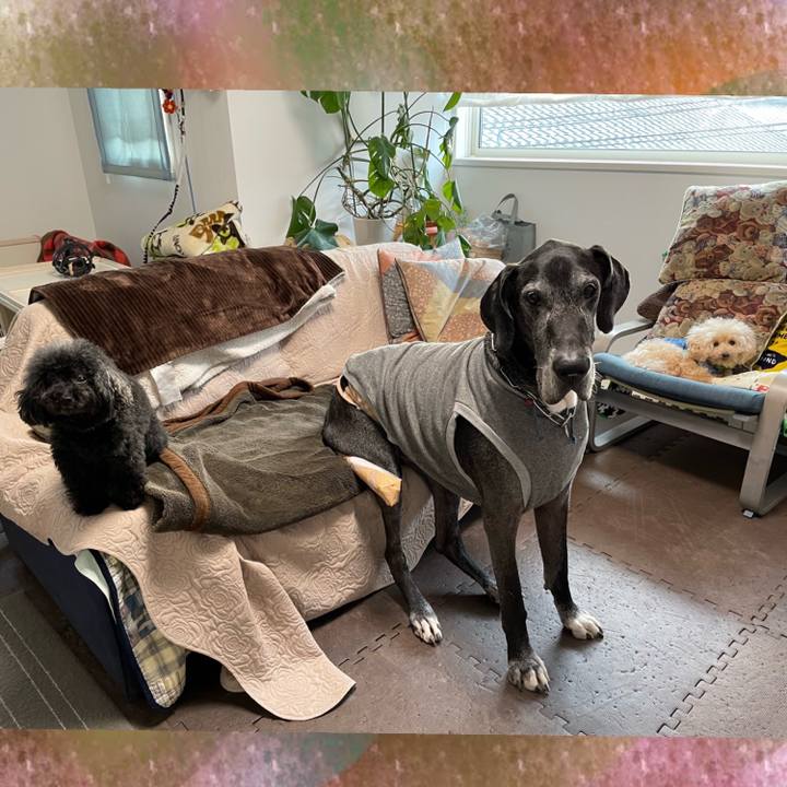 Aead5dae 8e74 4bf9 a3db 54ff96c9bb98 1638138626296