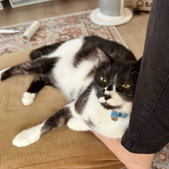 Aead6b81 dc1f 427b 9f0f 06afe7e3fcc6 1775870675372