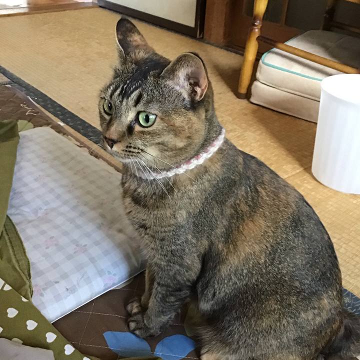 Aead79d0 ead2 46fe b3f0 b171d631f370 1666146513276