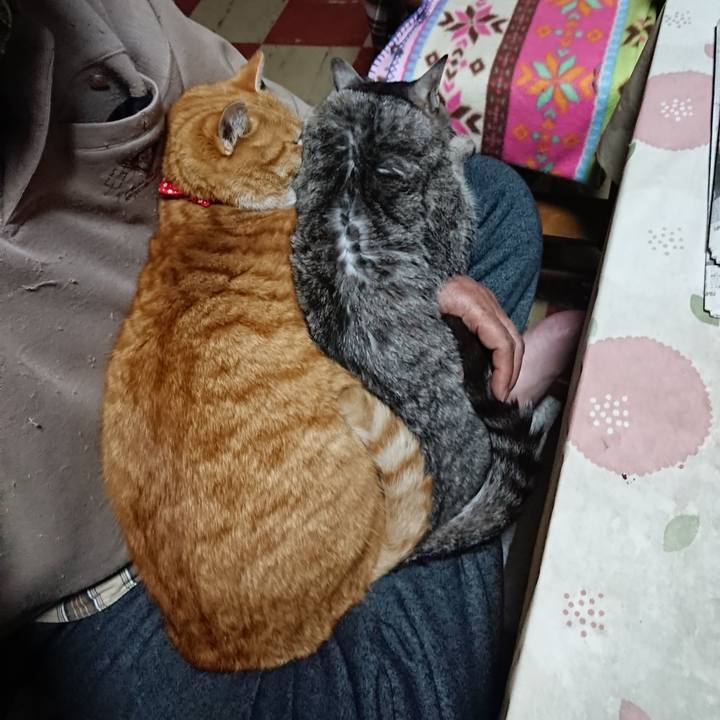 Aeae3296 48a1 4513 ac60 52014ec5688f 1578602453692