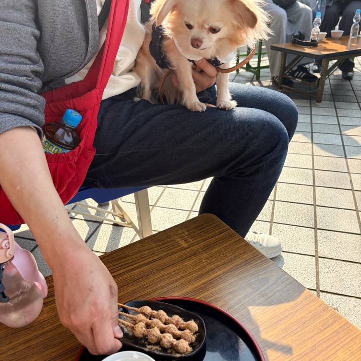 Aeae3d52 871c 4095 8724 f40ad00e9854 1774791448084