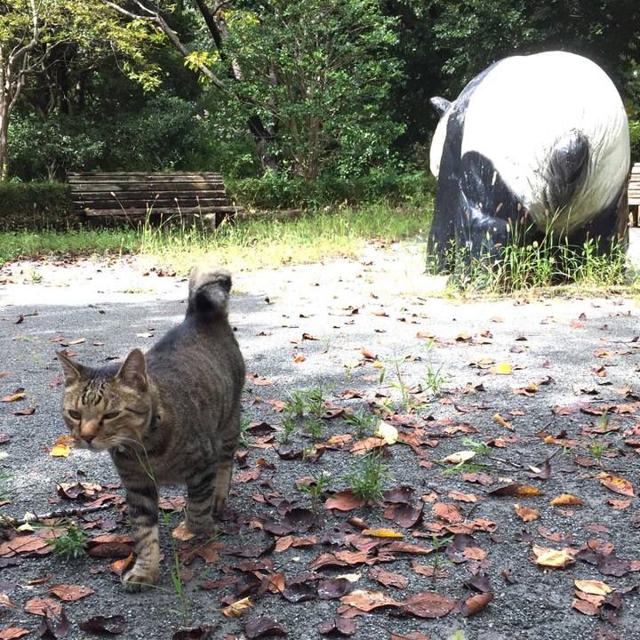 Aeae3dcd dd7f 4d05 a028 87695c359d33 1538286058788