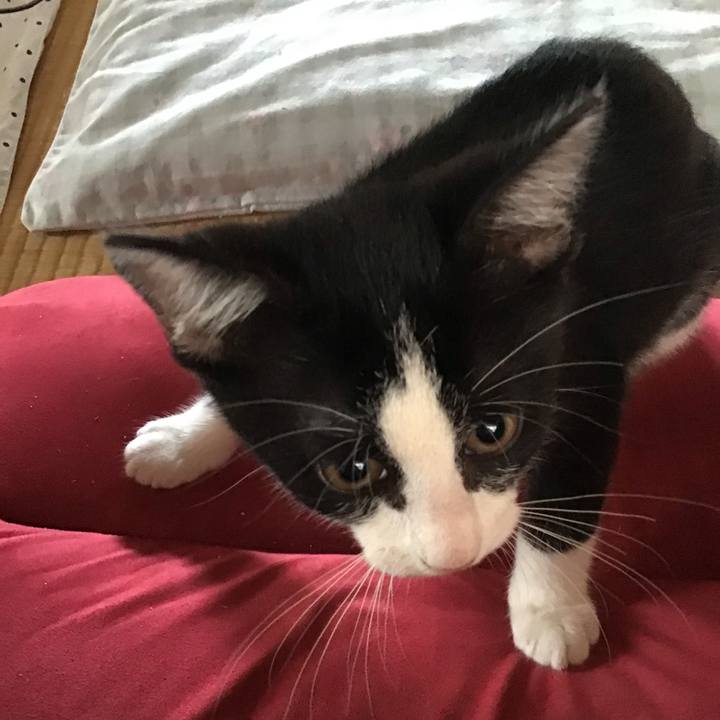 Aeae47c5 701e 4d3c b60c a3263de7be4e 1625963519782