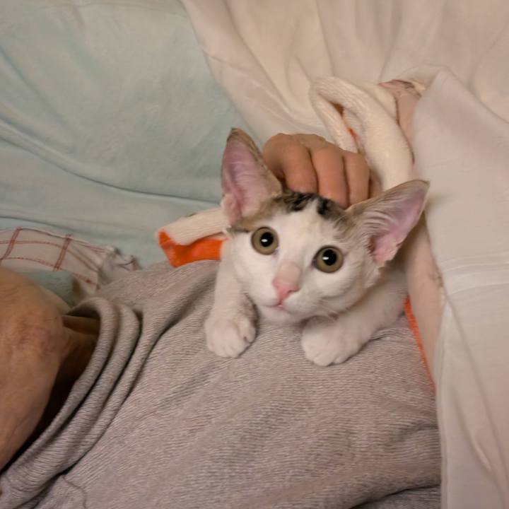 Aeae5613 1d21 408f be2c 3d19ca5ad173 1766407632742