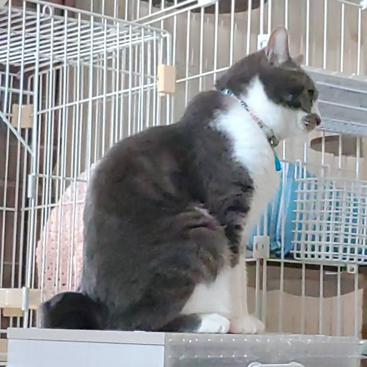 Aeae6402 8a40 4e7a b83a 639bfbf35e12 1715753782281