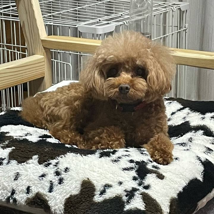 Aeae7036 d292 43c5 b55b 45f8f9e11e51 1633258049127