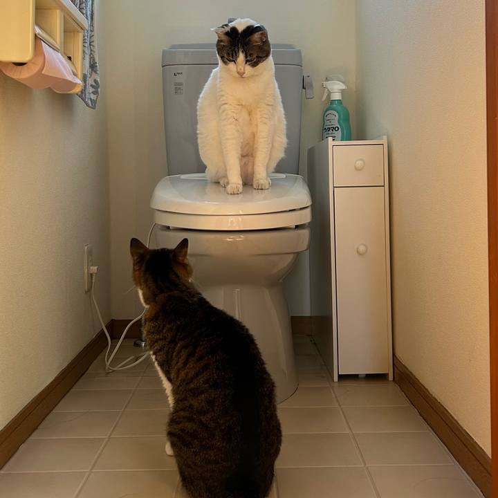 Aeaec803 53da 4033 bb7a c47318513a15 1689549246529