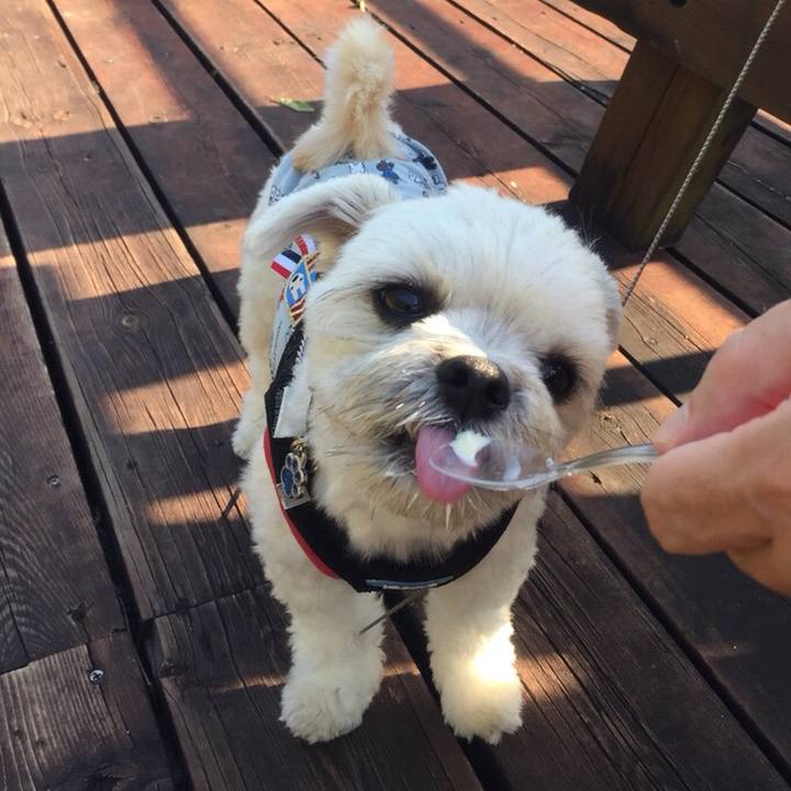 Aeaee770 703d 416d b45c 0d46c2d537e2 1509451981941