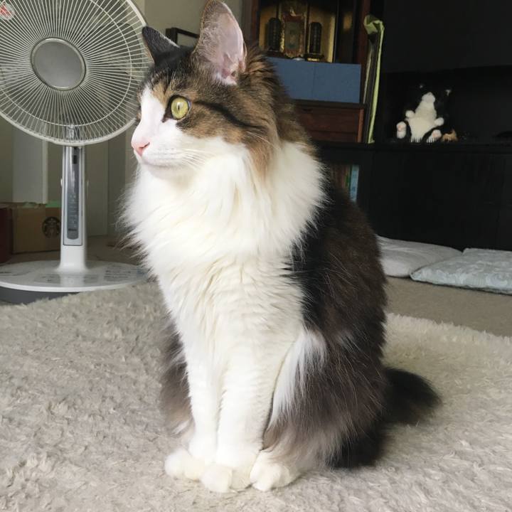 Aeaf2d09 d8b4 4d24 88f9 f6b7afa8cf49 1561353409893