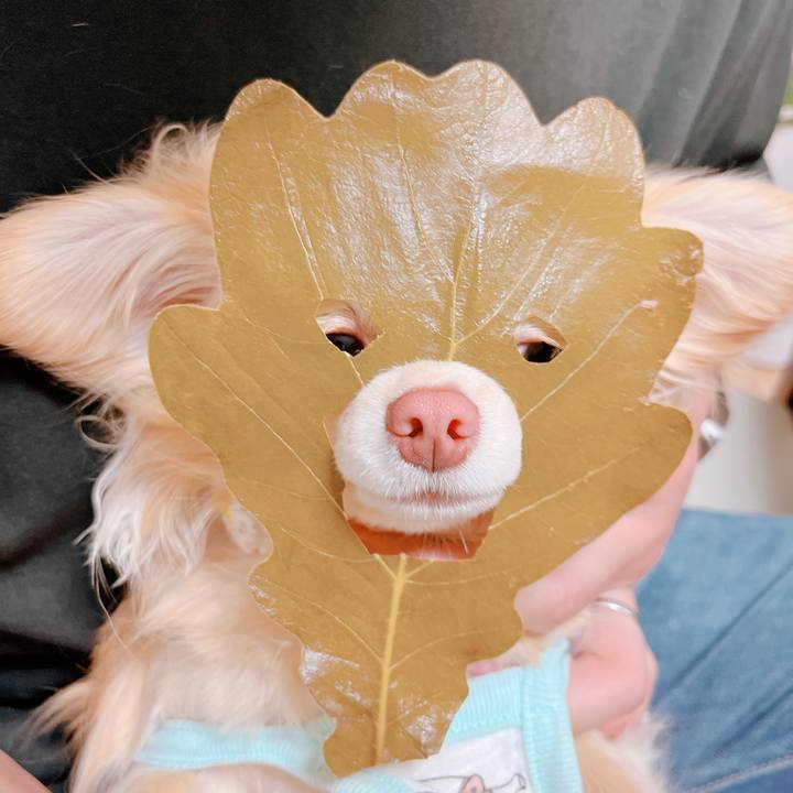 Aeaf30ec 1695 4b4b 992d 3753796f7a48 1651710787386