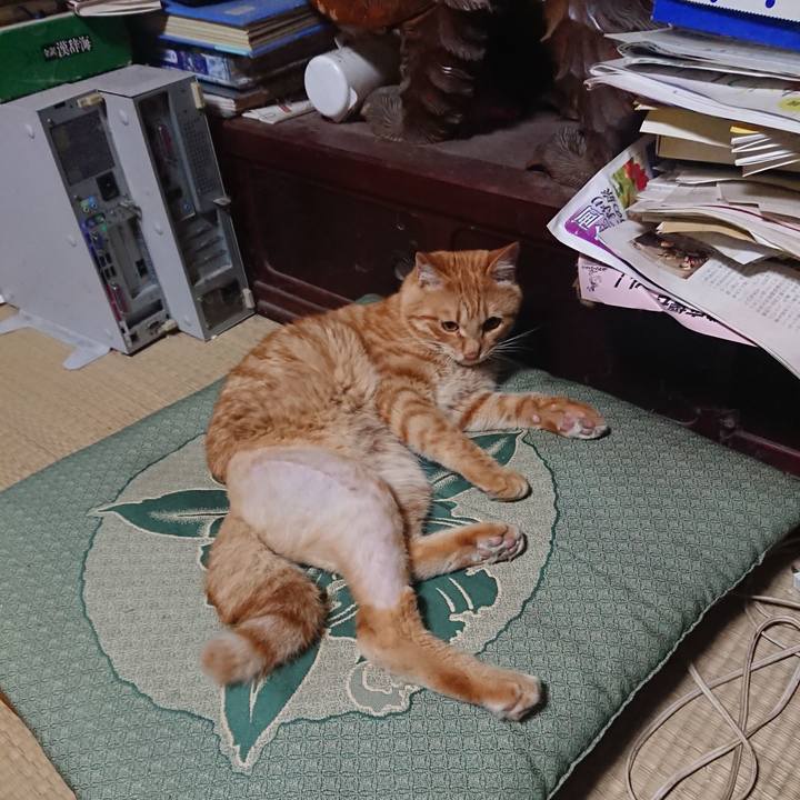 Aeaf3ad9 e97e 4e2d b585 7508978b06ca 1655727885740