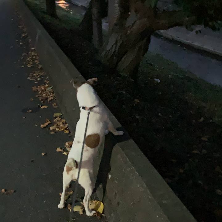 Aeaf6056 3c8a 4133 9a17 f561c28fed3c 1600688295269