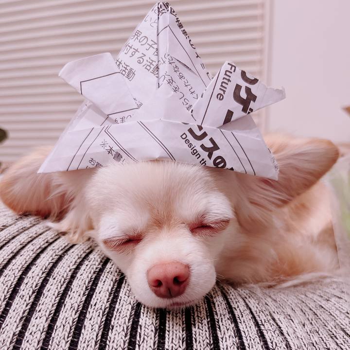 Aeaf9685 28f2 4d66 92f1 4769555421a9 1683282761555