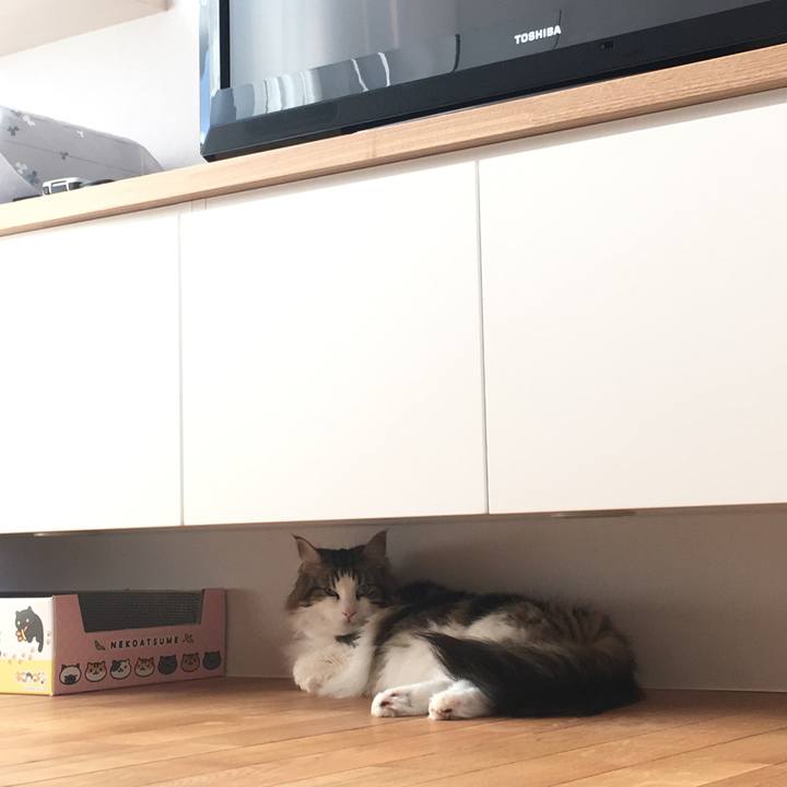 Aeafc4fa 8d07 4b05 a995 e8988e697164 1528102824519