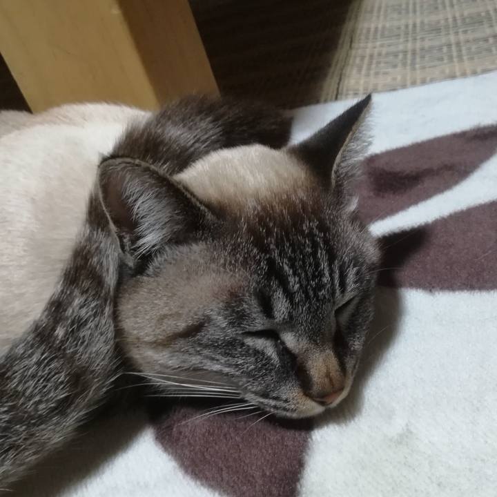 Aeafd833 9b9f 49f5 8e6a bc15fd321334 1514464864006