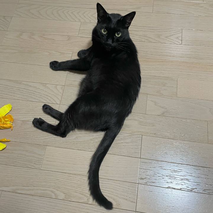 Aeafecd0 46f0 4ae7 9808 cc1a8e0c7650 1687178674206