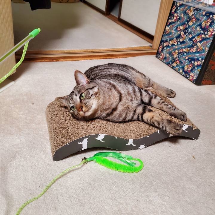 Aeb04eac eefc 4a9e 8749 48ae63859743 1708786974739