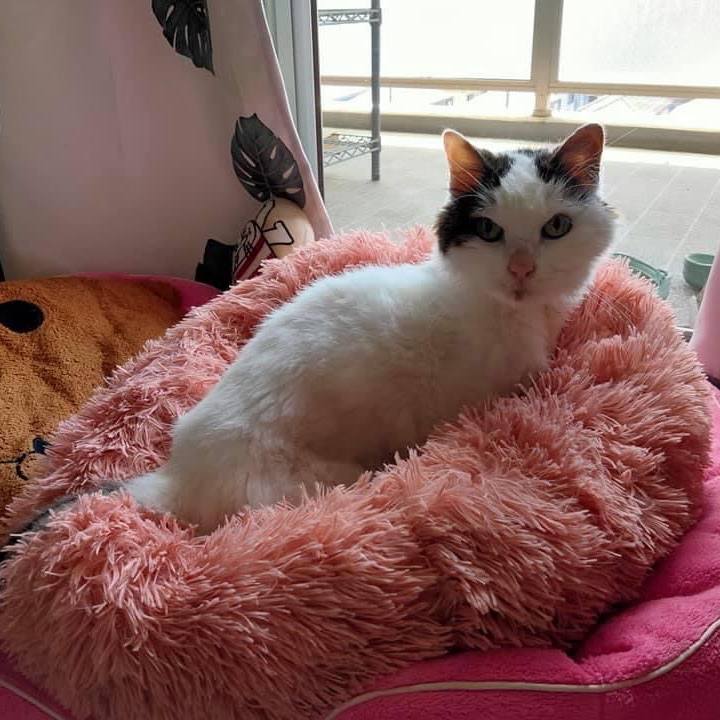 Aeb05f68 c952 459d 91c3 29a833e295e6 1655272141982