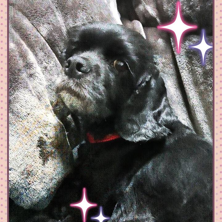 Aeb05f6d aa44 4ab0 921f 914a2f1d7740 1546861613593