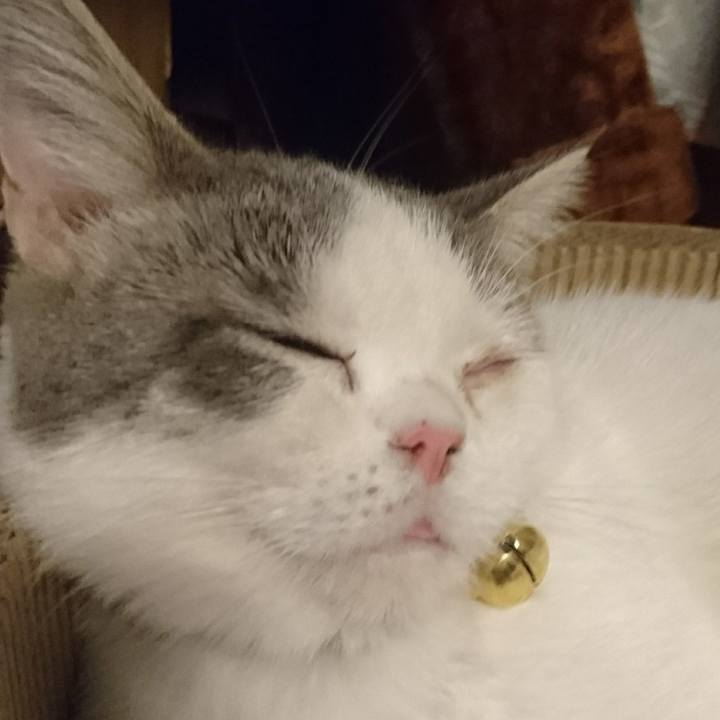 Aeb086ec 008c 4e27 93d4 382ceb2a2ea6 1539229566235