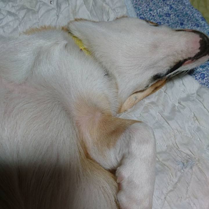 Aeb09b52 487e 4895 8e22 28663da5a8c7 1570861989994