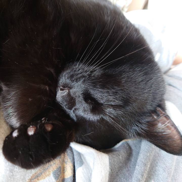 Aeb0b0e2 9c1c 4c73 8d41 475e7983a03a 1740976654232