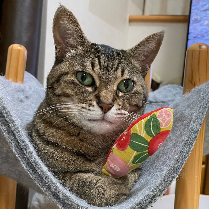 Aeb10614 3aea 410b 88c1 e8b484bfe53a 1773560033768