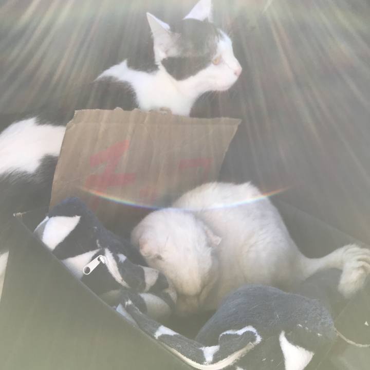 Aeb148d6 4189 48a9 82a1 37f5edf04908 1542929033233