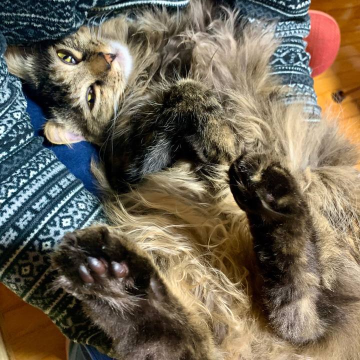 Aeb15134 1349 45e6 9b8e d7b4dc8f56cf 1672494980269