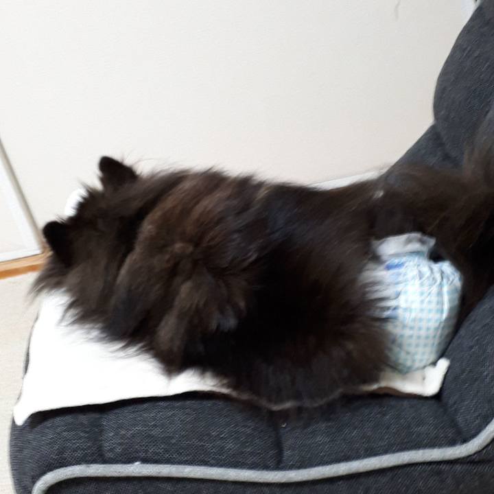 Aeb169f6 0fc9 436e 8fa4 0ecbf4a6524f 1517226231081