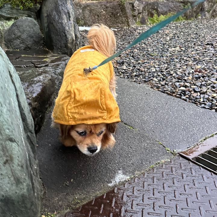 Aeb1826f efbc 4ed4 be52 6566bf176d28 1741643531403