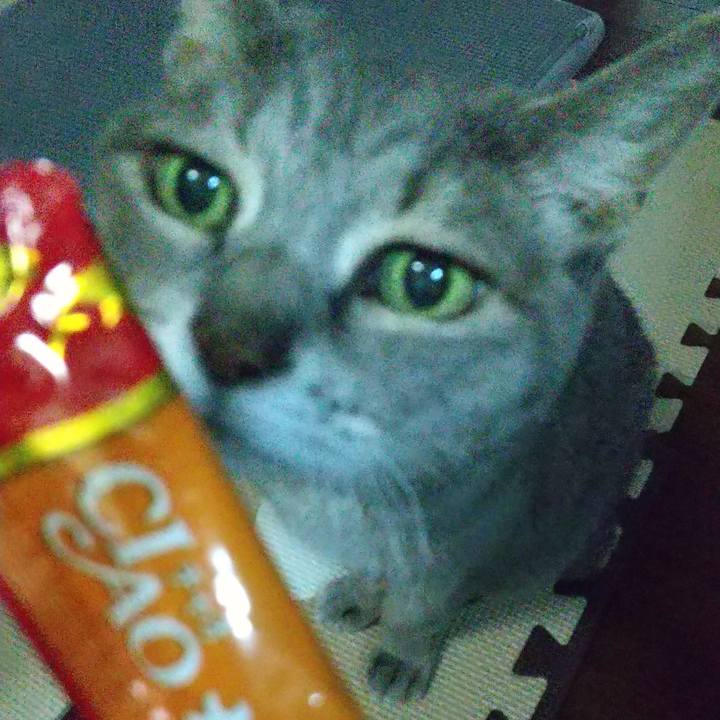 Aeb19922 49e2 42ae 8720 a9d7f9075025 1695643955648