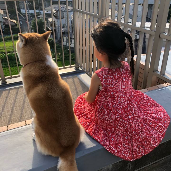 Aeb1e12b 93d8 4ecc ac3f 7debd287edc0 1627532966729