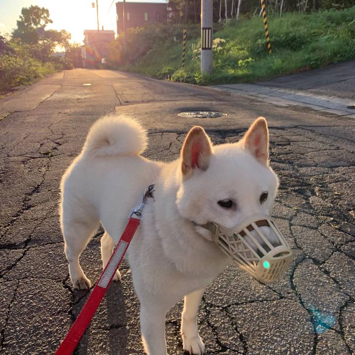 Aeb1e141 df9b 43a7 ab4d 9728e1f7e8e7 1568669560692