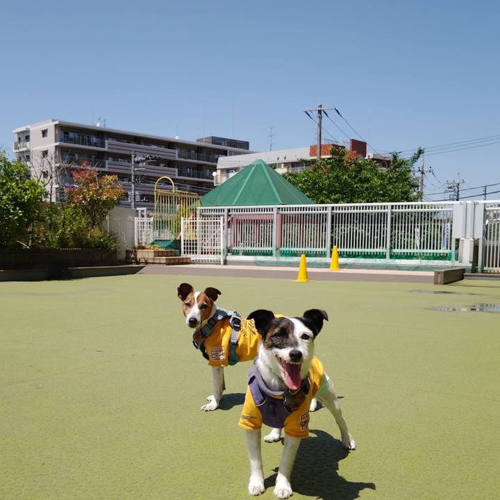 Aeb1f235 2759 49a6 a0a2 ea322504a46a 1746679904892