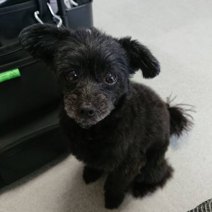 Aeb203e6 fd18 4b77 ae54 7d9c53c25c77 1520291039616