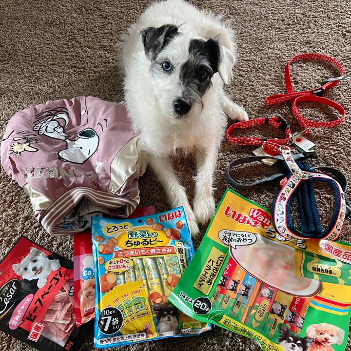 Aeb20bc0 f257 46f2 a628 dc0283fe264e 1670367163197