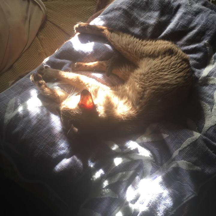 Aeb22e8a 62d6 4698 9b38 b55a9a7ad891 1534457045538