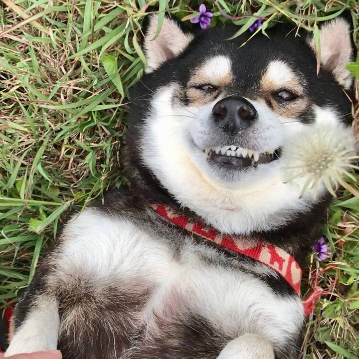 Aeb255da 9cac 424c b51e 0171bdbb1651 1614218689674