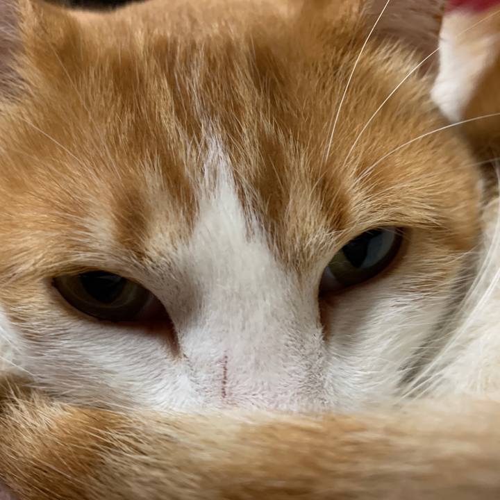 Aeb25b68 ce8a 4b5a 9cc1 ced5e61c6d33 1586612140651