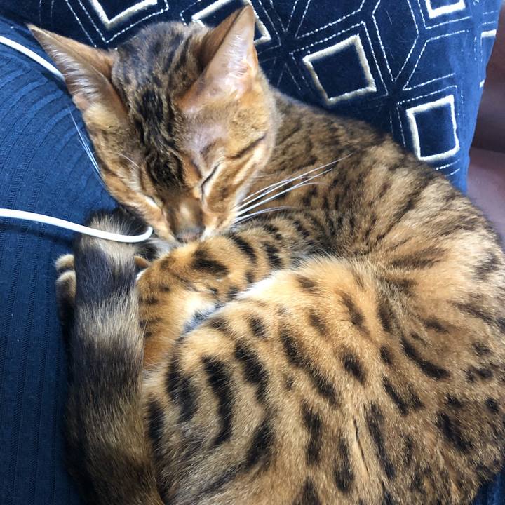 Aeb2ae75 022d 4043 85c0 ab33cdca319a 1552319000381