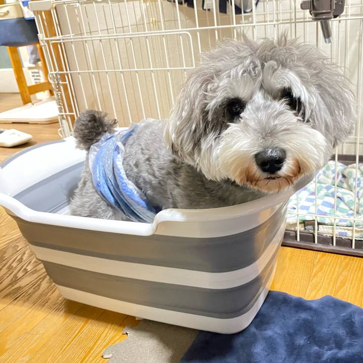 Aeb31f8e 8fe2 4967 a34d 5cdc6862a3c8 1605617505859