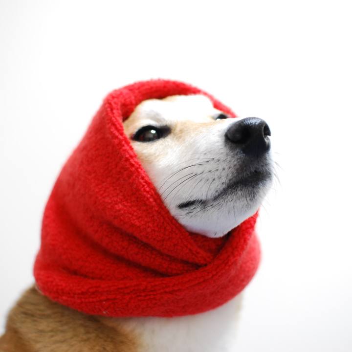 Aeb33093 d833 45a4 b691 78f970f4b14f 1539767667317