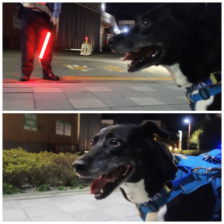 Aeb34216 69a5 4b21 99dd b239d4ecad0b 1694517394842