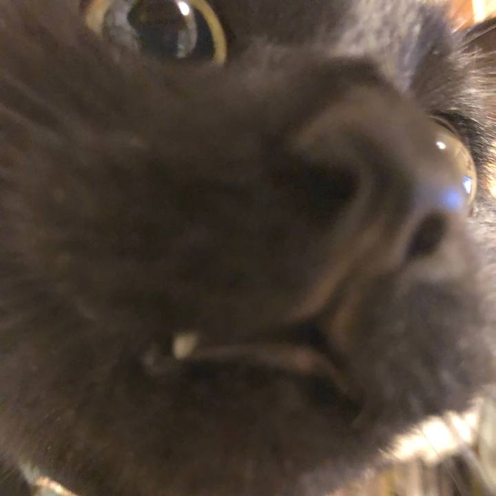 Aeb34e37 8df6 48b0 b6e5 10341d36064c 1579337739596