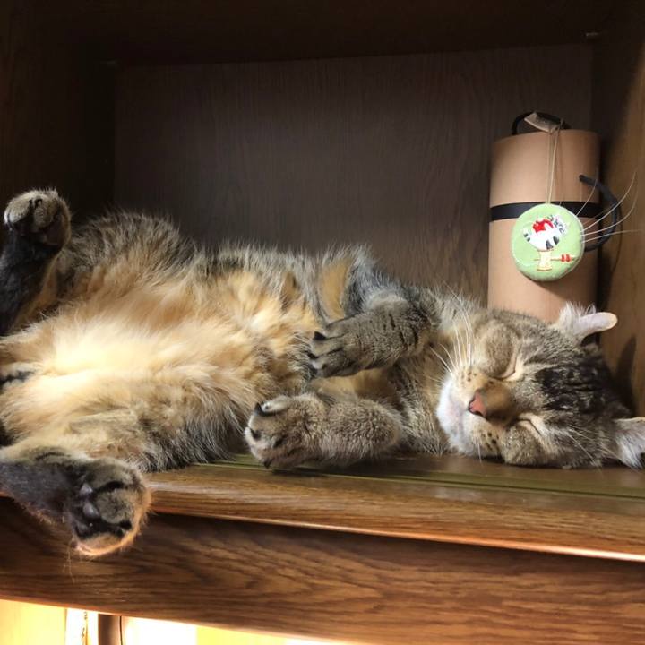 Aeb37b44 f655 479c 8d0c e34b34ff2a9a 1602572880358