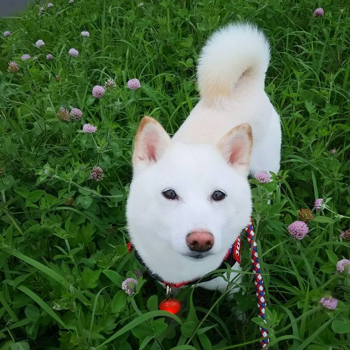 Aeb389f7 c137 459e 84e2 c91a9bd504c8 1595497734682